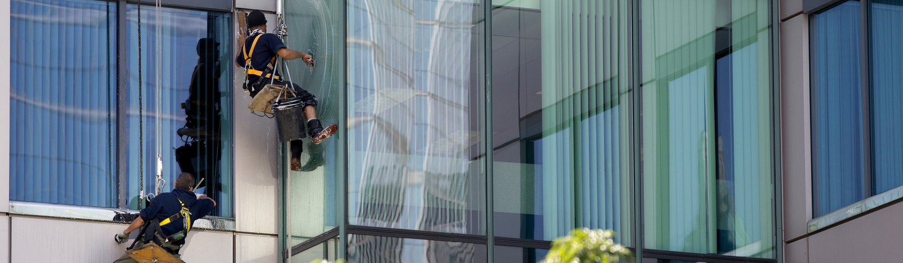 windowwashers-large.jpg